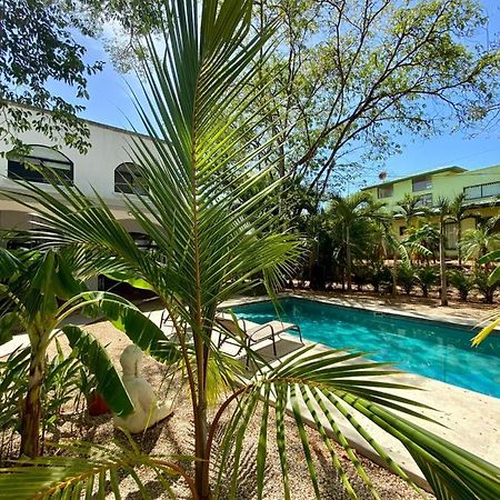 Casa Alice Marbella Lodge Ngoại thất bức ảnh