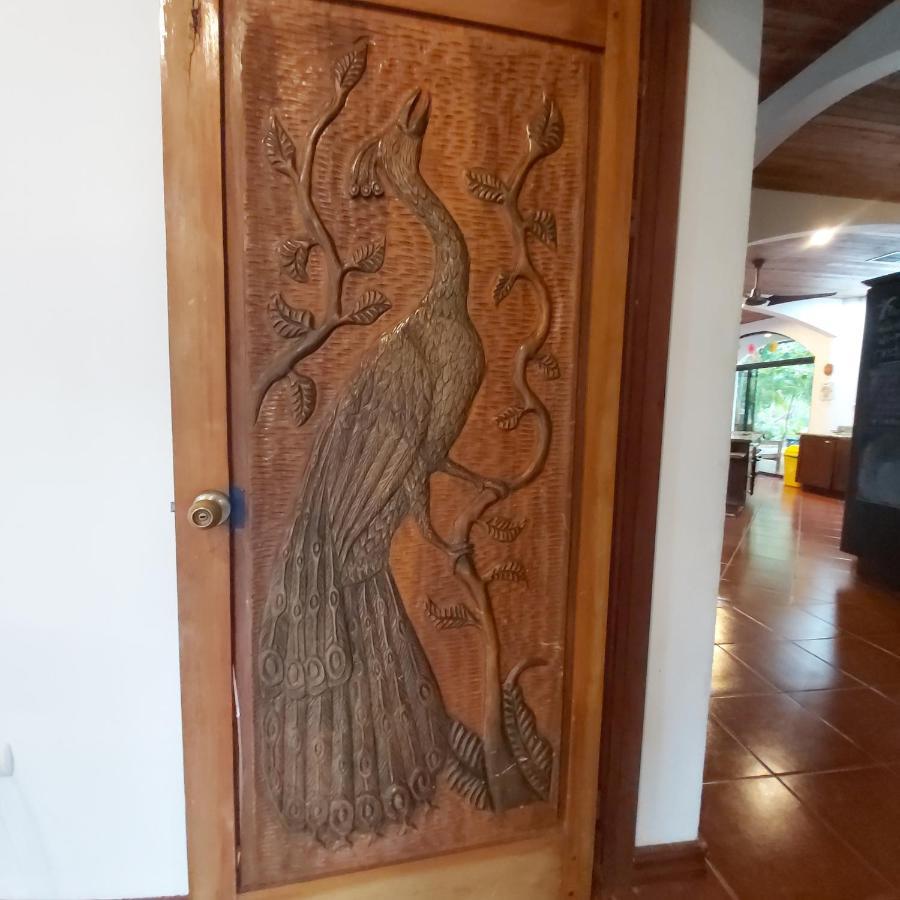 Casa Alice Marbella Lodge Ngoại thất bức ảnh