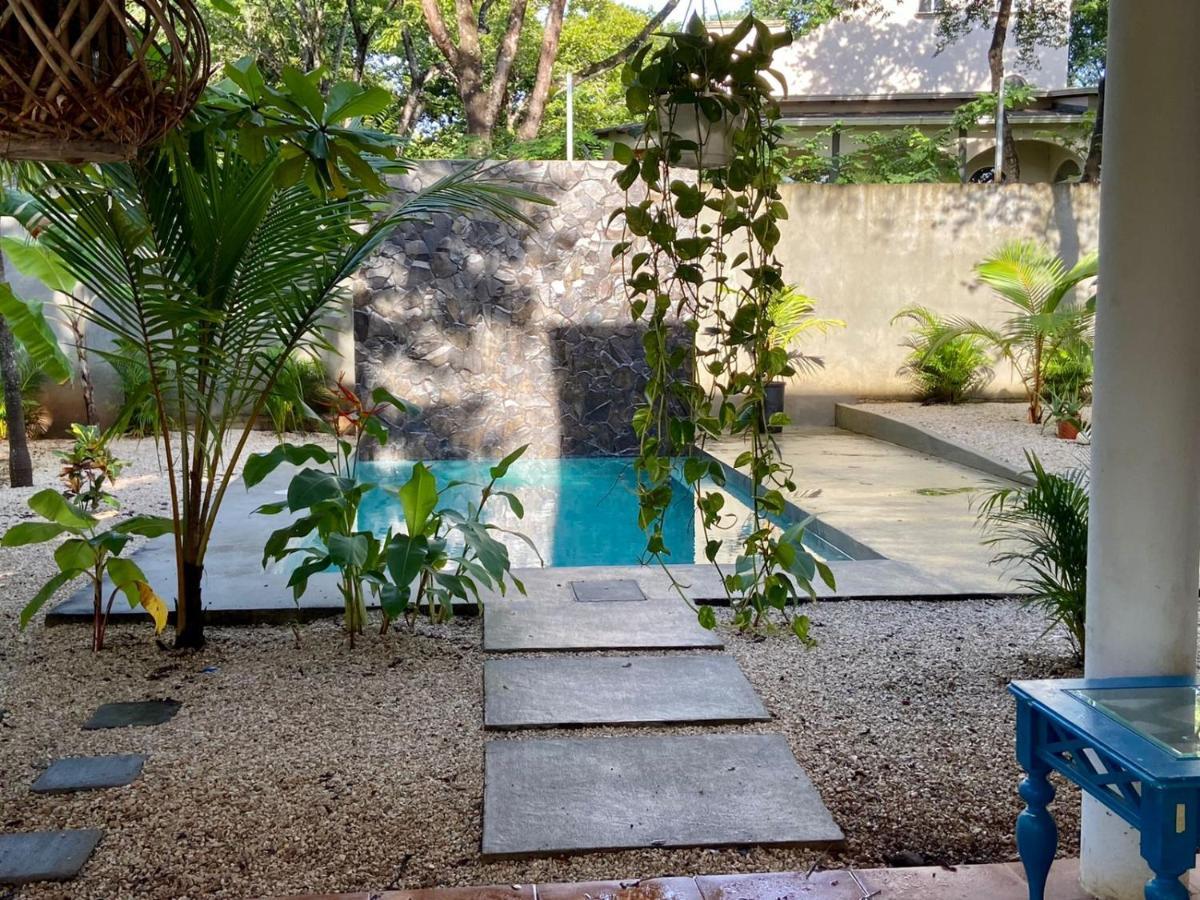 Casa Alice Marbella Lodge Ngoại thất bức ảnh