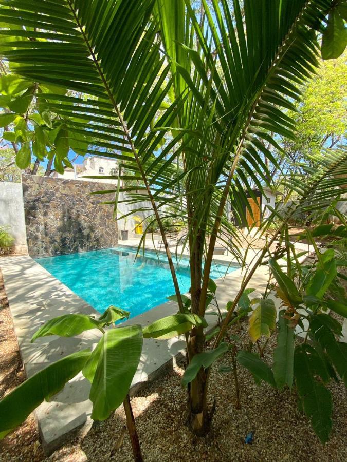 Casa Alice Marbella Lodge Ngoại thất bức ảnh