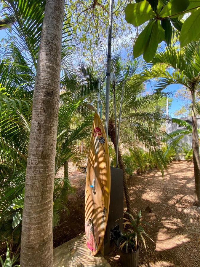 Casa Alice Marbella Lodge Ngoại thất bức ảnh