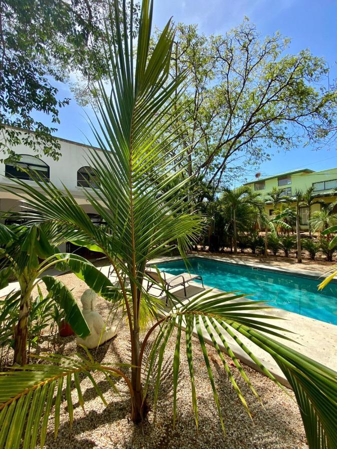 Casa Alice Marbella Lodge Ngoại thất bức ảnh