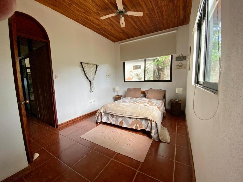 Casa Alice Marbella Lodge Ngoại thất bức ảnh