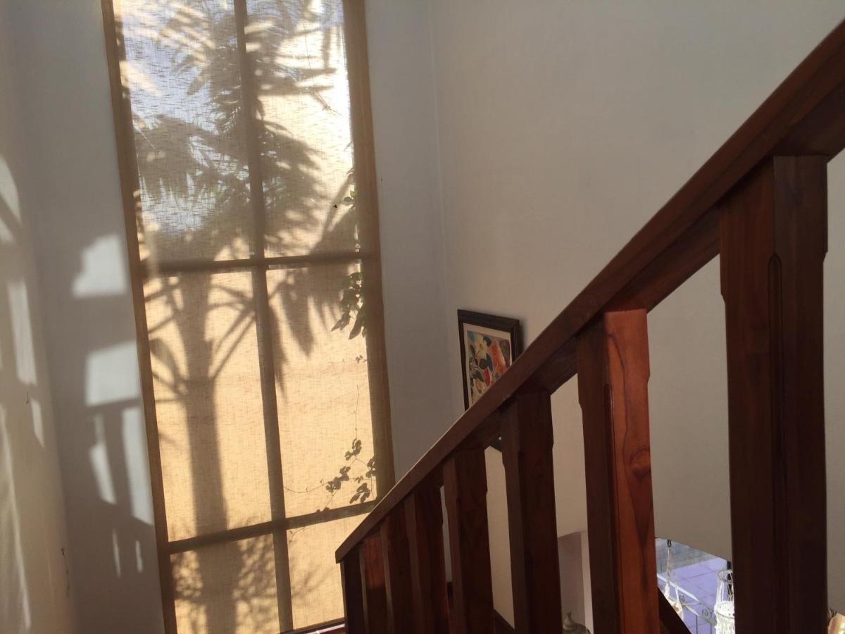 Casa Alice Marbella Lodge Ngoại thất bức ảnh