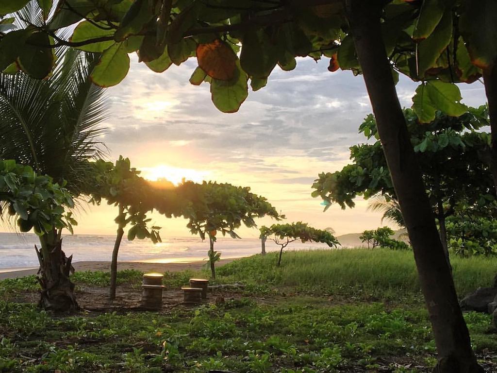 Casa Alice Marbella Lodge Ngoại thất bức ảnh