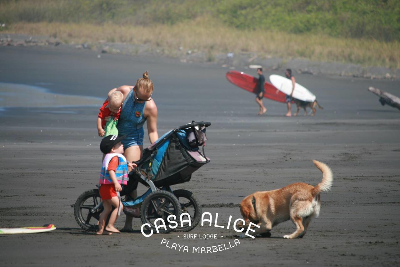 Casa Alice Marbella Lodge Ngoại thất bức ảnh