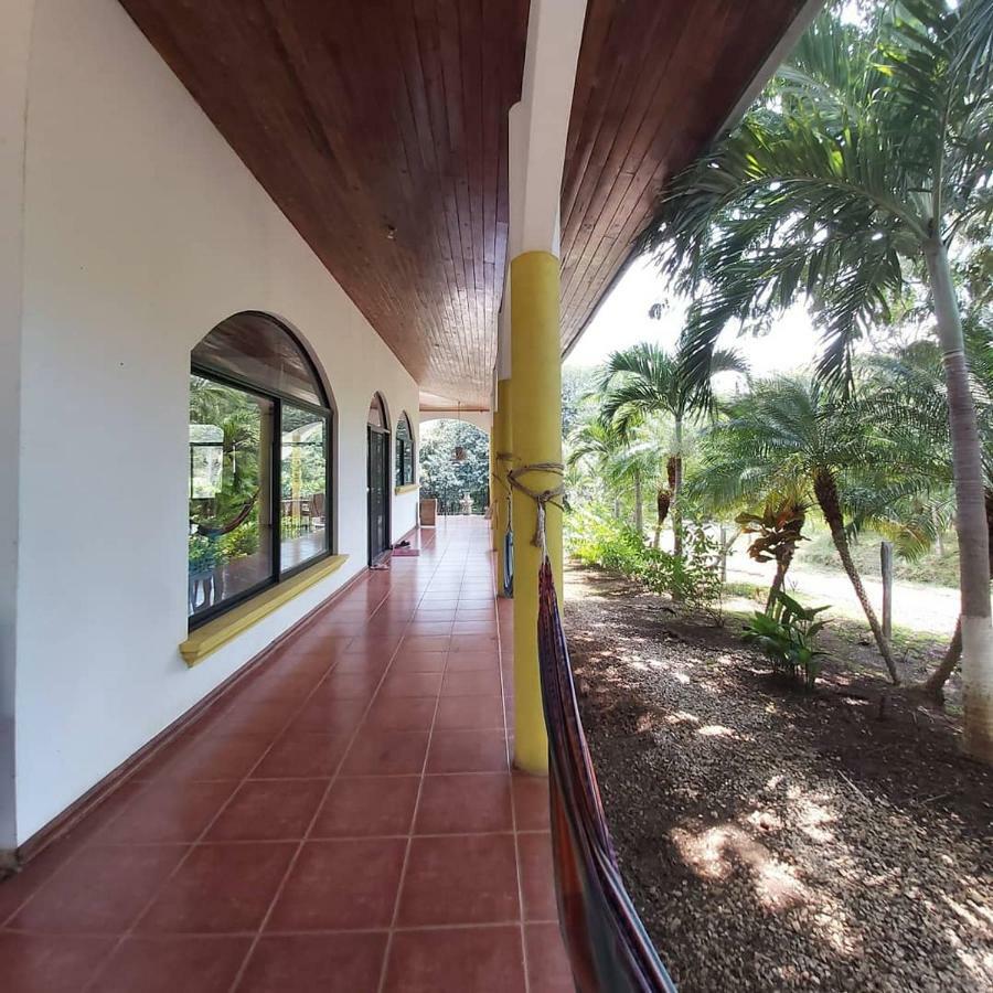 Casa Alice Marbella Lodge Ngoại thất bức ảnh